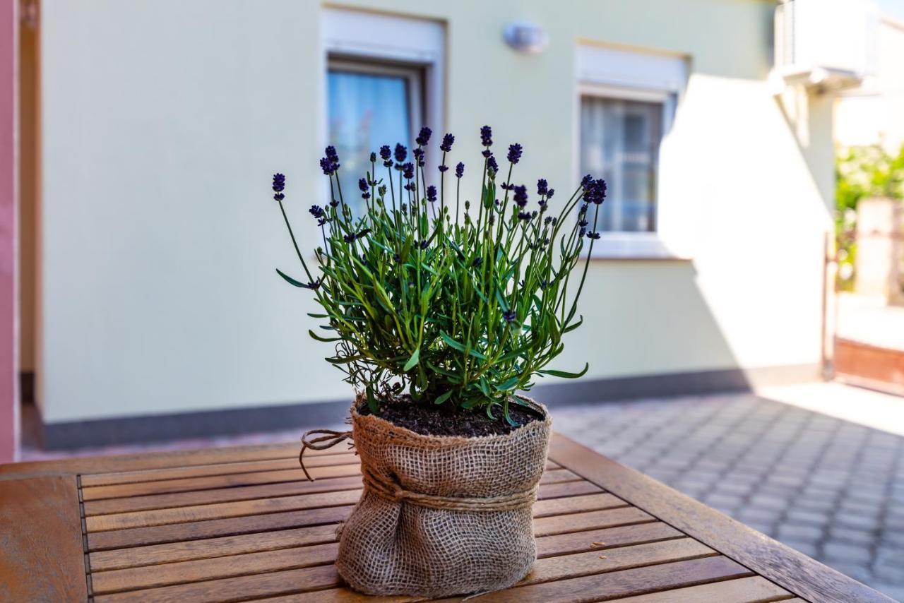 Studio Apartment Gina Zadar Zewnętrze zdjęcie